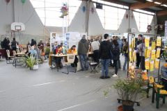 Ambiance-2